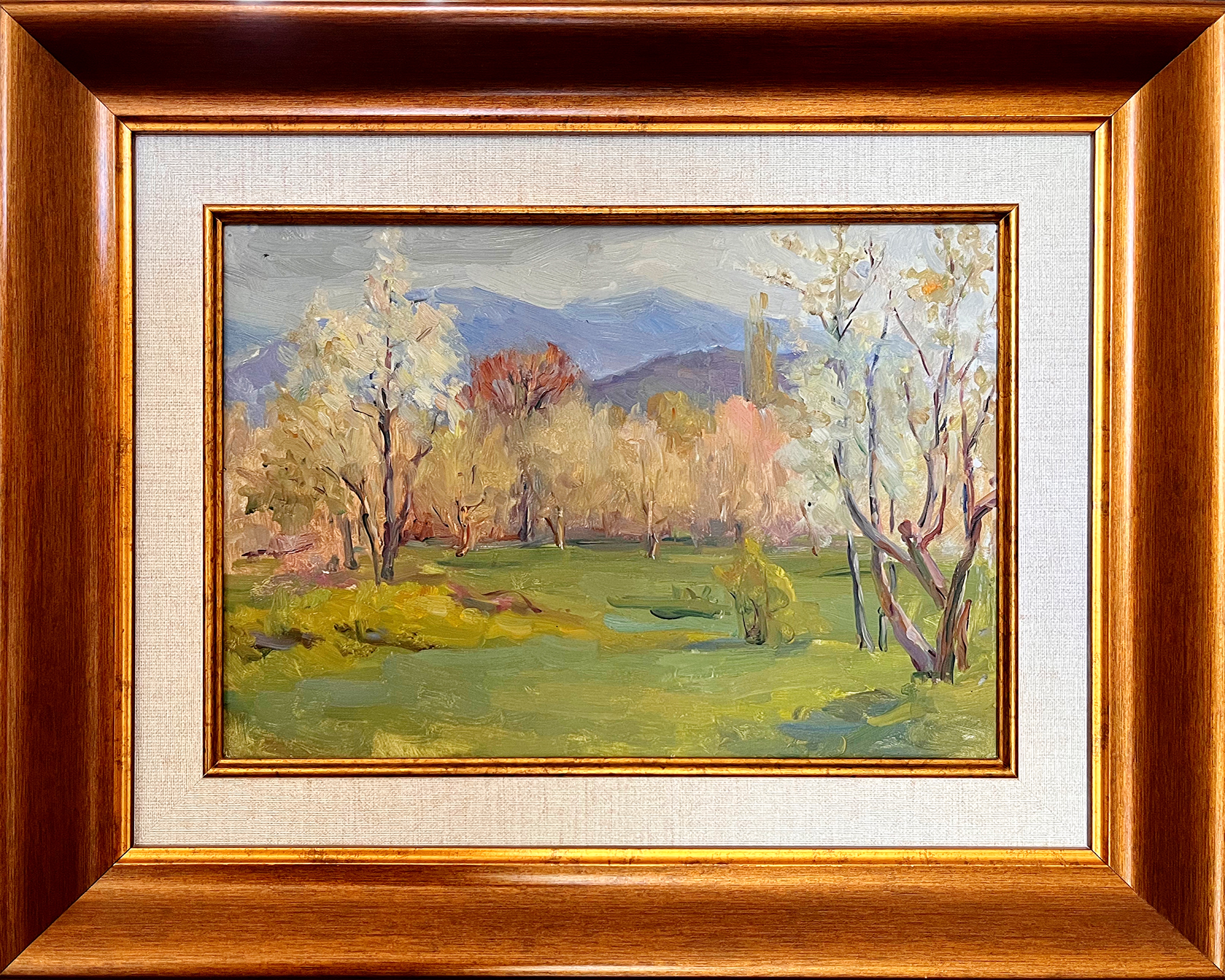 ЛОТ 26 В саду. Горный гигант