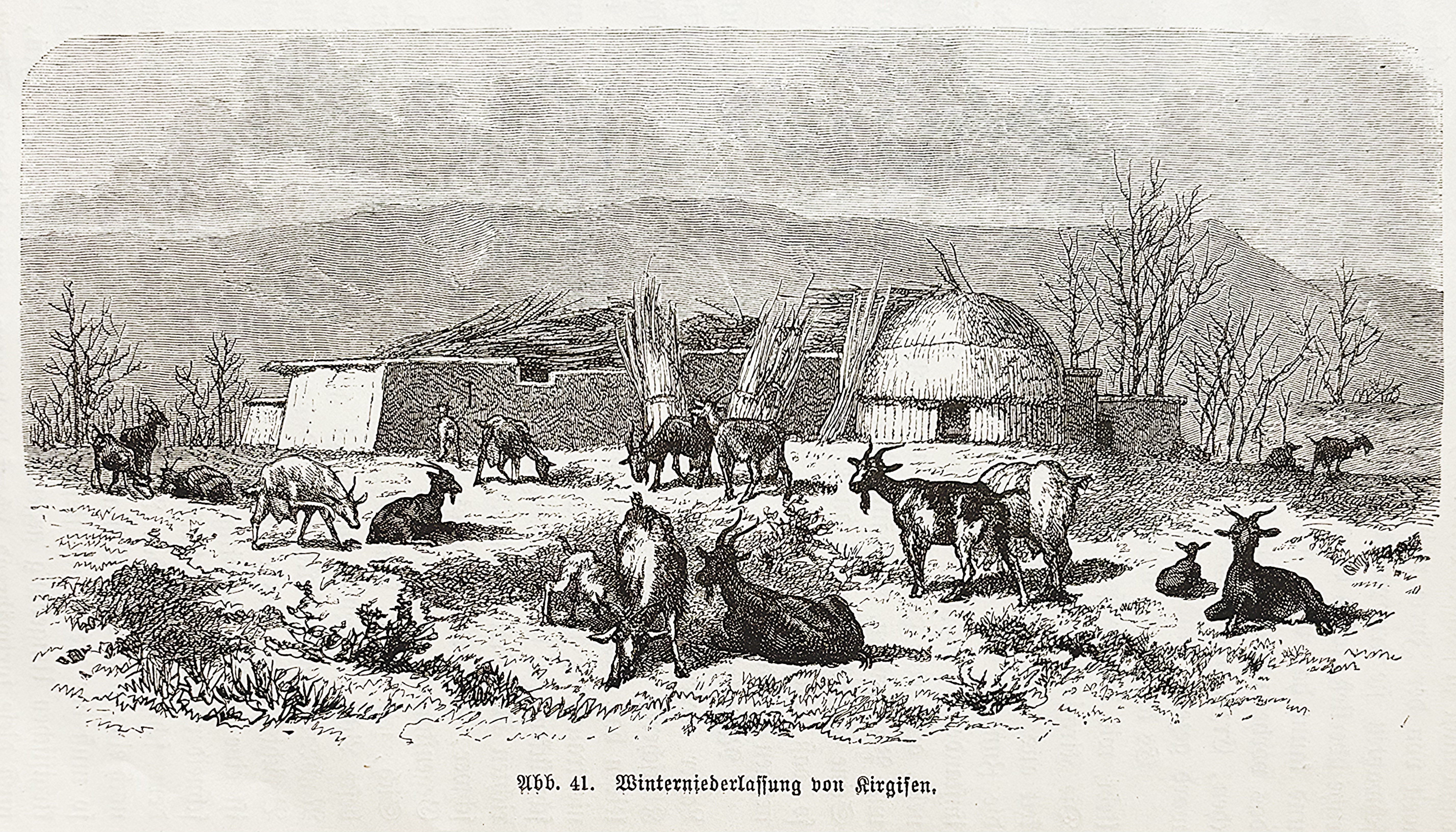 ЛОТ 38 Казахская зимняя кочевка